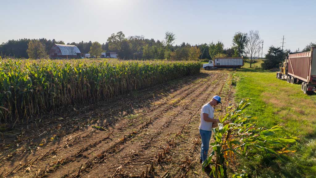 Student scouting crop field.